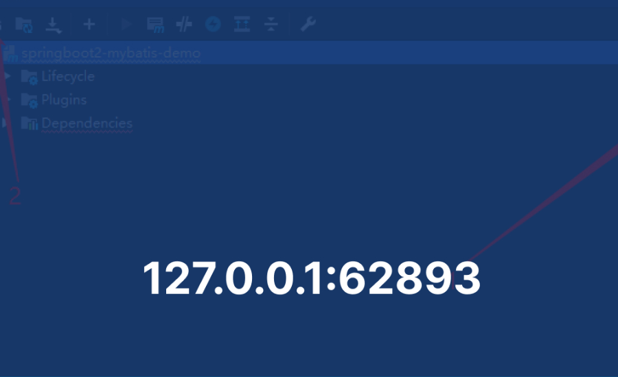 127.0.0.1:62893