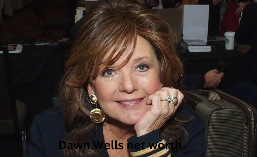 dawn wells net worth