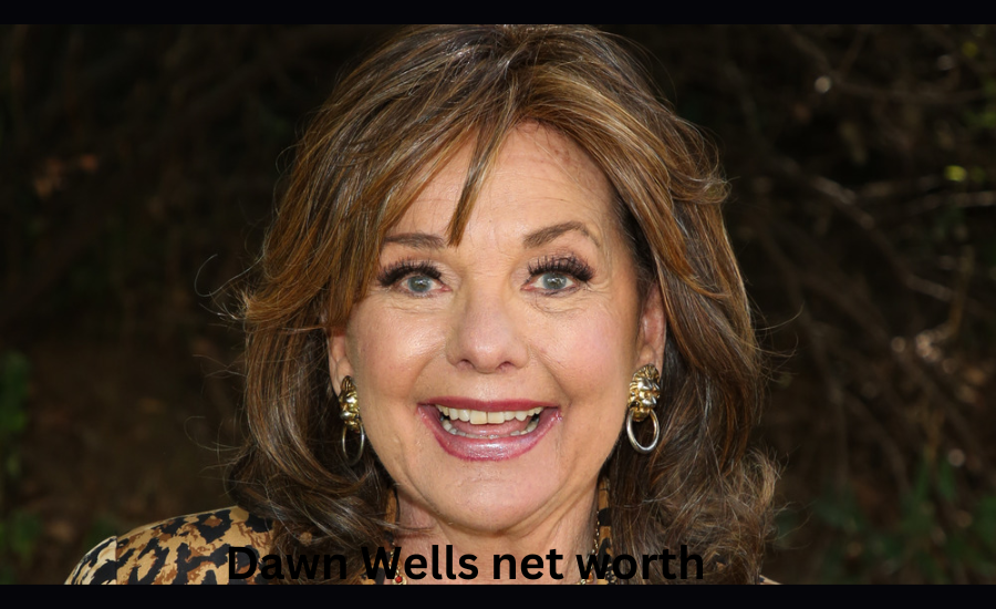 dawn wells net worth